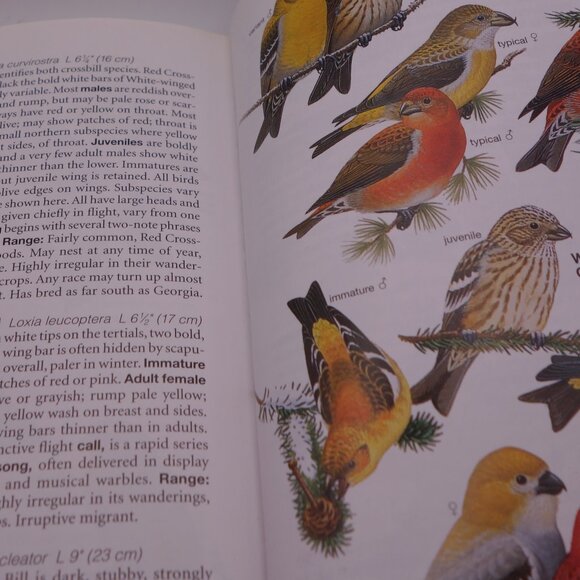 National Geographic Field Guide to the Birds of North America ISBN 0-7992-6877-6 - Picture 14 of 16